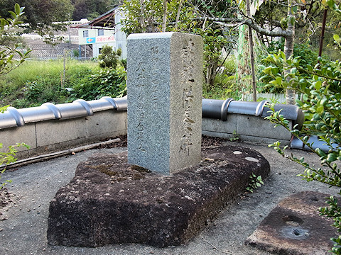 h_yanonisikigoi2.jpg(134445 byte)