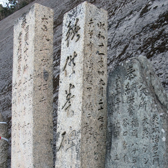e_koami61.jpg(179940 byte)