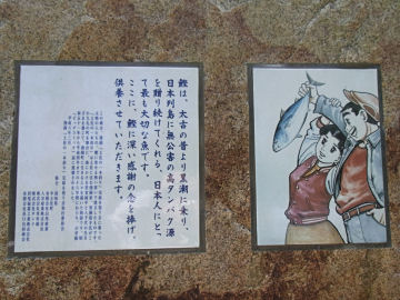 k_nakatosa3.jpg(56390 byte)