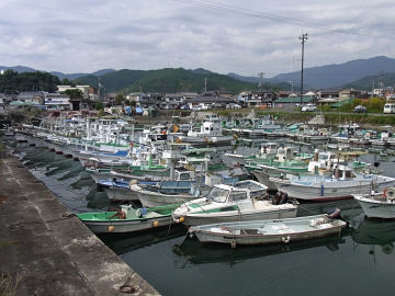k_nakatosa4.jpg(54848 byte)