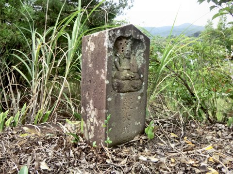 種ケ島のいるか大明神 大正
