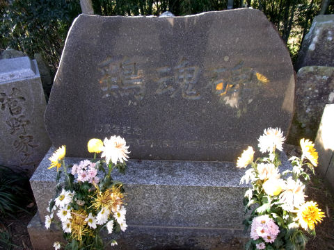 얓{