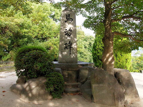 h_hijiyama2.jpg(105895 byte)