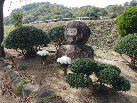 h_hirodaiagri2.jpg(108558 byte)