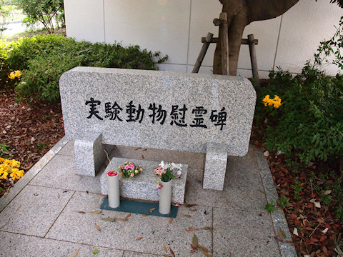 h_hirodaibyo2.jpg(91248 byte)