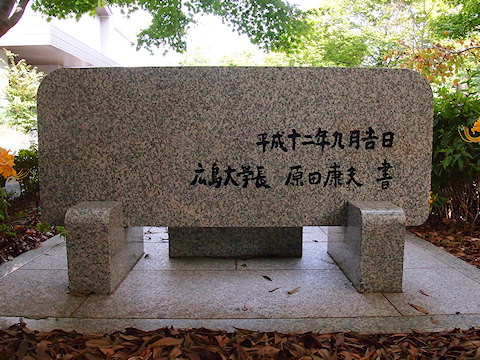 h_hirodaibyo3.jpg(108211 byte)
