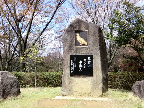 朱鷺のキンの碑