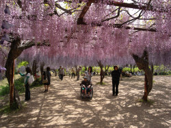 wakecyoju04.jpg(58903 byte)