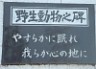 D11gunma2