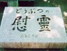 D52higaisym2