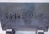 D72tokusima3