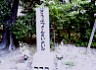 D84kurume1