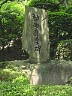 D93miyazaki1