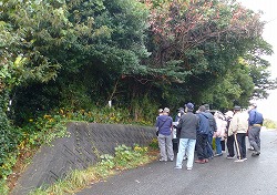 城の山