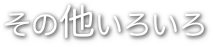 その他いろいろ