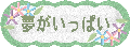 夢がいっぱい♪