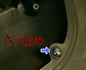 p-mini_p53.jpg(11454 byte)