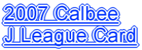2007 Calbee J League Card