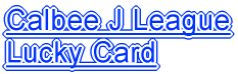 Calbee J League Lucky Card