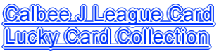 Calbee J League Card Lucky Card Collection
