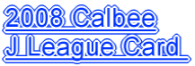 2008 Calbee J League Card 