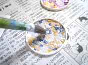 絵筆でボンドを塗ります