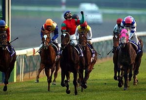 �}�C�l�����R���g�������t�e�r�����R�[�h�ŉ���