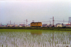 片貝-上泉駅間にて（1981.6頃）