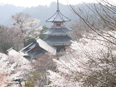 金峯山寺仏舎利宝殿を蔵王堂より望む。ここを谷底に向かうと遥か下方に脳天神社がある。