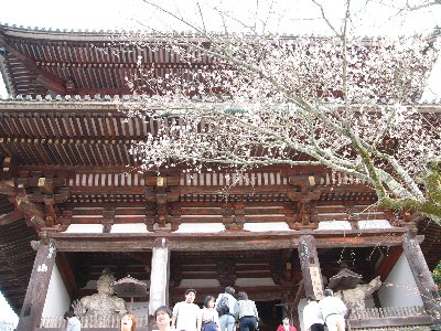 蔵王堂仁王門。石段の上にあり、けっこうデカい。
