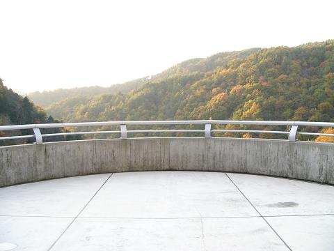 Ȋ