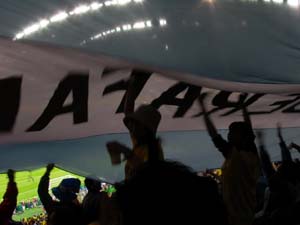 ȂA[`̊U炪B