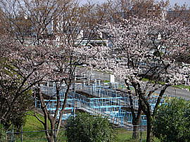 hirakata05s.jpg/k̍