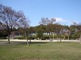 hirakata25s.jpg/㍡r