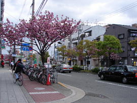 osaka-kyokaidou25s.jpg/sE]w֖߂