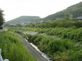 asakuragawa-tamenaka355s.jpg^qE