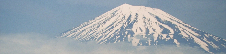 東京富士法律事務所