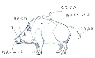 イノシシの描き方