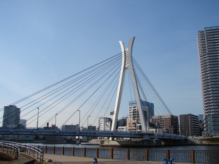 中央大橋全景