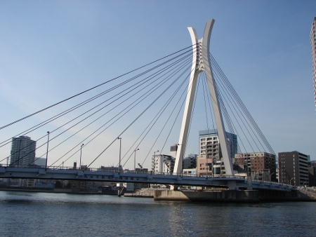 中央大橋全景2